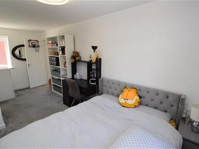 Picture 16
